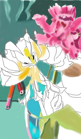 Tulpe